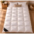 Ganzjahres-Daunendecke 135x200 cm 1100 g – warm