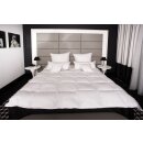 HS44 Daunendecke Bettdecke Oberbett 15 % Daunen - 85 % Federn 155x220 cm 1550g