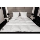 HS69 Matratzenauflage Topper Unterbett 70 % Daunen 30 % Federn 3300g  80x200 cm