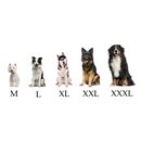 Hundebett Hundekissen Hundesofa Katzenbett  Hundekorb Gestepptes Kunst Leder weiß Gr. XXL - 110/90