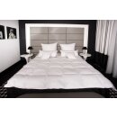 HS31 Daunendecke Bettdecke Federn Oberbett Decke 70 % Daunen - 30 % Federn 155x200 cm 1100g