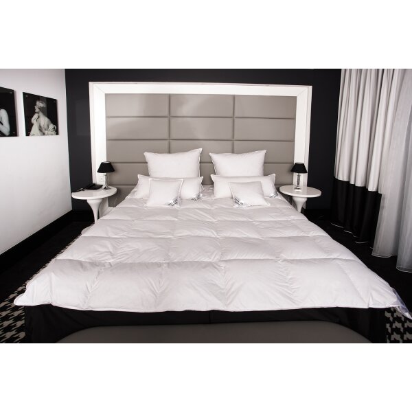 HS82 Winter Daunendecke Bettdecke 15 % Daunen - 85 % Federn 15 % 200x200 cm 2600g