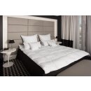 HS82 Winter Daunendecke Bettdecke 15 % Daunen - 85 % Federn 15 % 200x200 cm 2600g