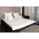 HS94 Daunendecke Decken 220x240 cm 70% DAUNEN - 30% FEDERN - 2700 G 100% Natur Bettdecke