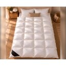 HS97 Daunendecke Decken 240x260cm 70% DAUNEN - 30% FEDERN - 2700 G 100% Natur Bettdecke