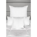 HS117 Kopfkissen 55x55cm Federn Natur Kissen Füllung 100% Gänsefedern 700 Gramm
